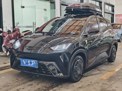 BYD Seagull 2024