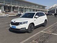 Skoda Kamiq 2024