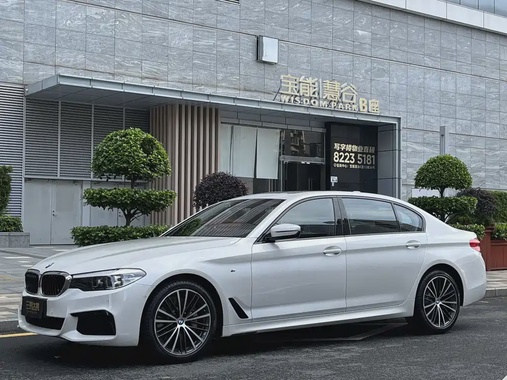 BMW 5 Series 2019