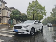 Geely Borui 2020
