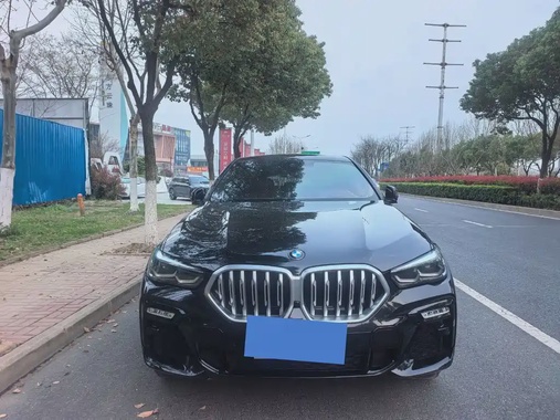 BMW X6 2021