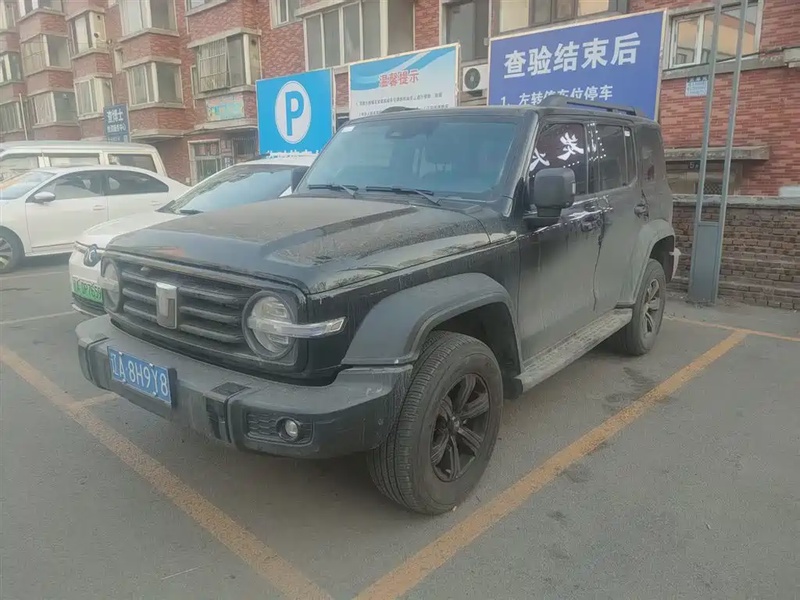 Tank 300