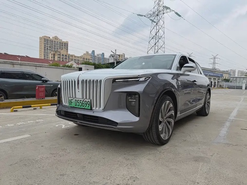 Hongqi E-HS9 2021