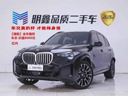 BMW X5 2025