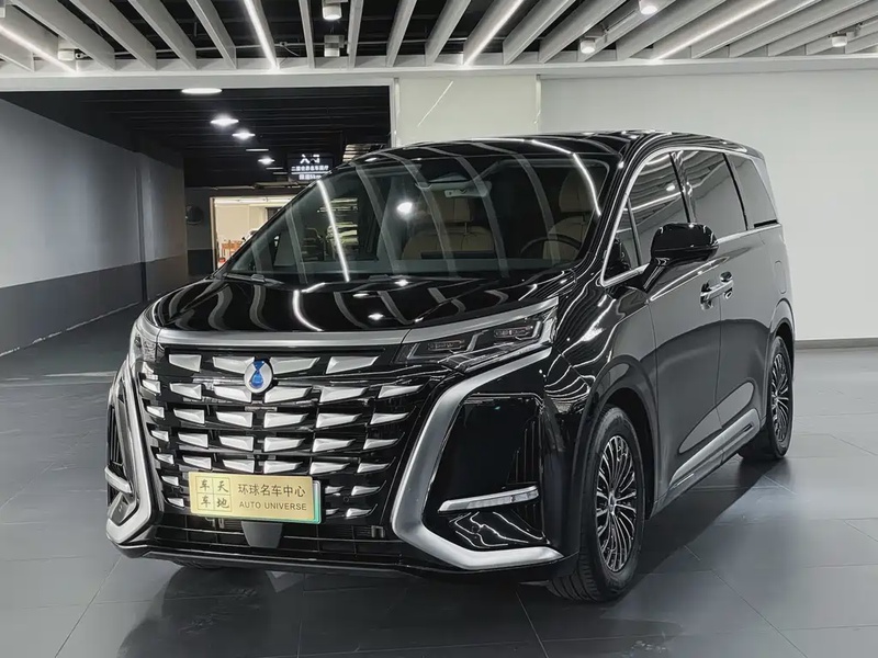 Denza D9