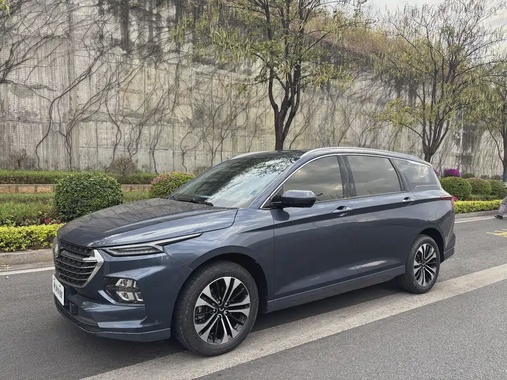 Wuling Victory 2021