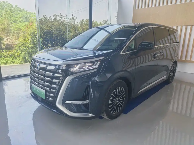 Denza D9
