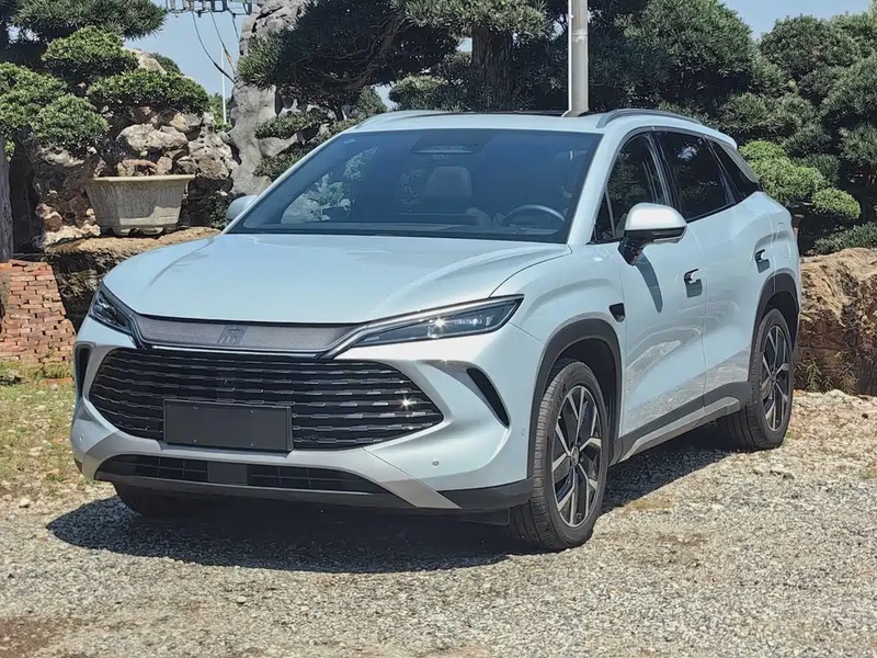 BYD L