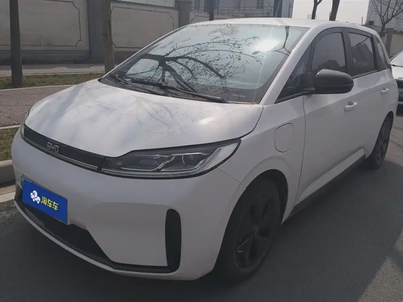 BYD D1