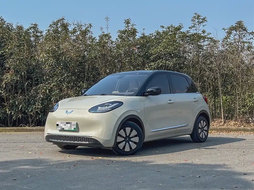 Wuling Bingo 2023