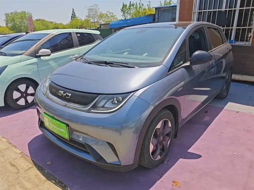 BYD Dolphin 2024
