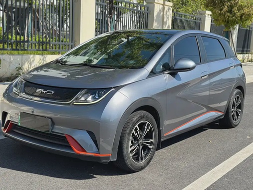 BYD Dolphin 2022