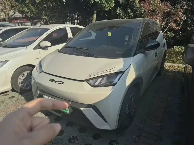 BYD Seagull