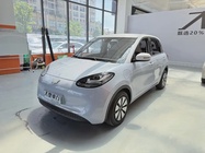 Wuling Bingo 2024
