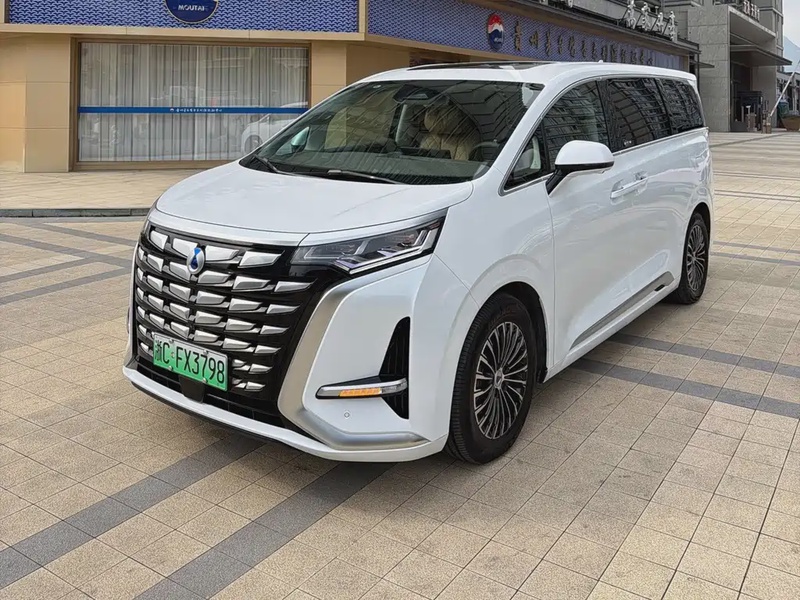 Denza D9
