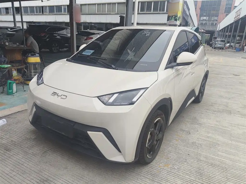BYD Seagull