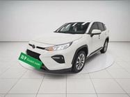 Toyota Wildlander 2020