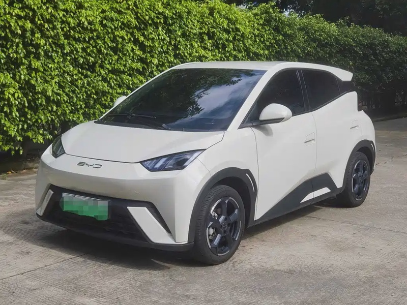 BYD Seagull