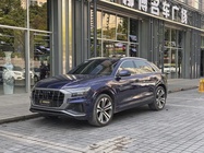 Audi Q8 2019
