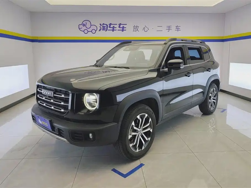 Haval Big Dog