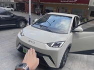 BYD Seagull 2025