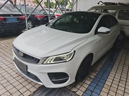 Geely Binrui 2019
