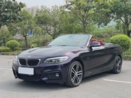 BMW 2 Series 2019