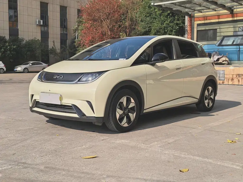 BYD Dolphin