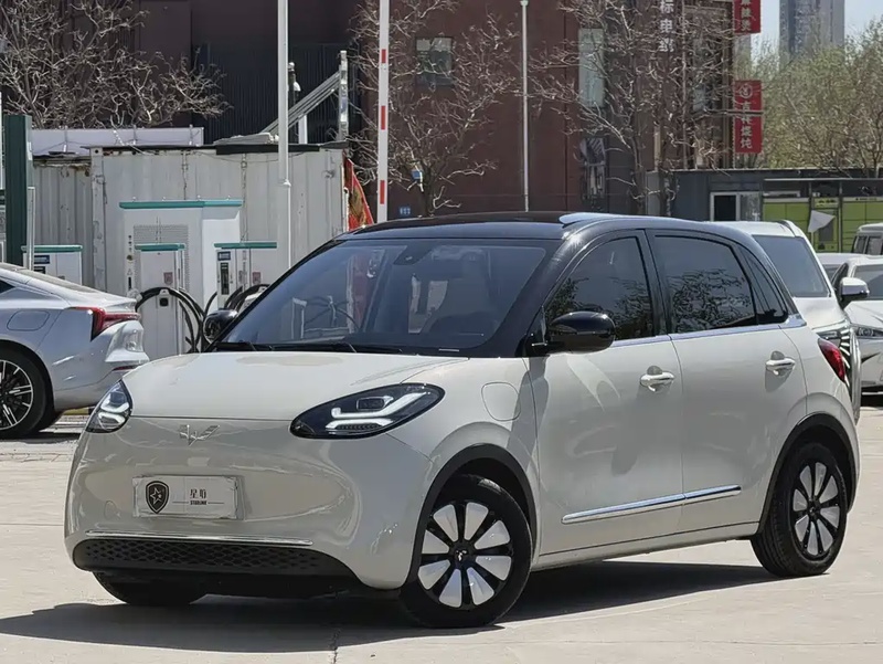 Wuling Bingo