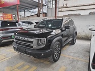 Haval Big Dog 2023