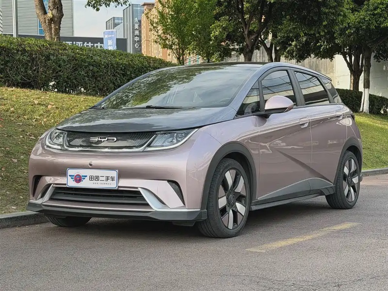 BYD Dolphin
