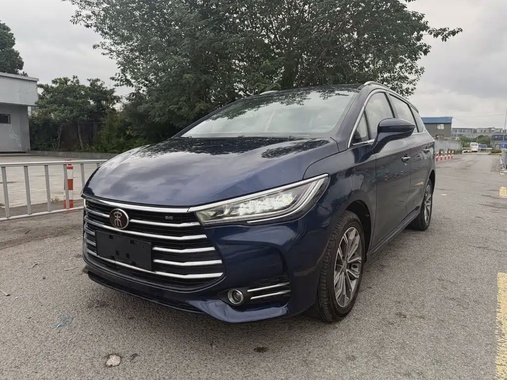 BYD MAX 2019
