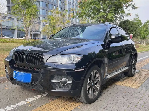 BMW X6 2010