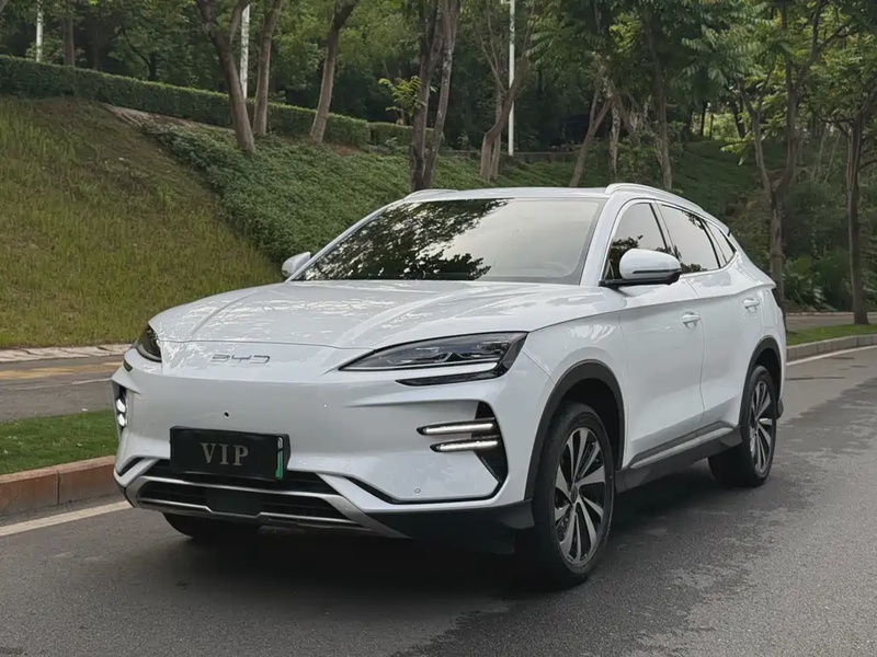 BYD PLUS