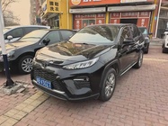 Toyota Wildlander 2021