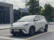 BYD Seagull 2024