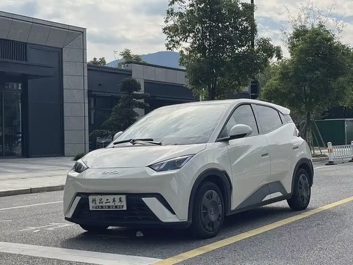 BYD Seagull 2024