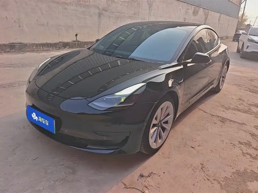 Tesla Model 3 2021