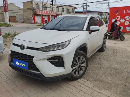 Toyota Wildlander 2021