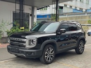Haval Big Dog 2025
