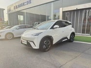 BYD Seagull 2024