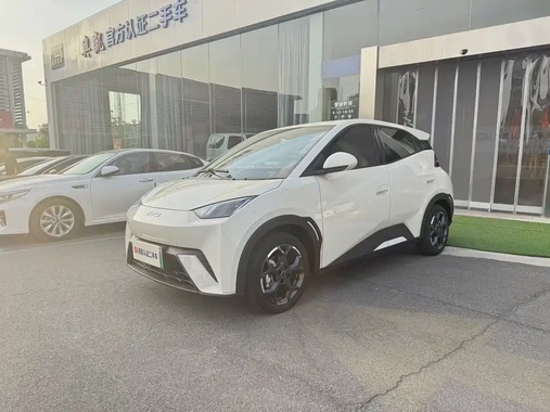 BYD Seagull 2024