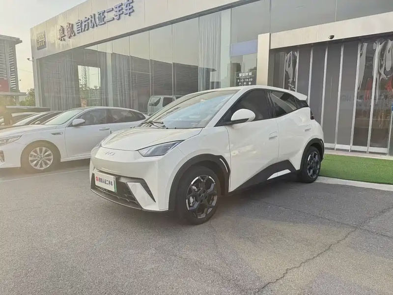 BYD Seagull