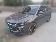 Wuling Victory 2021