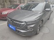Wuling Victory 2021
