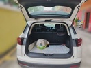Фото 15