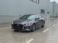 GAC Shadow Leopard 2021