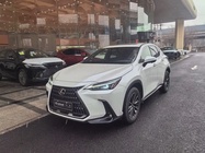 Lexus NX 2023