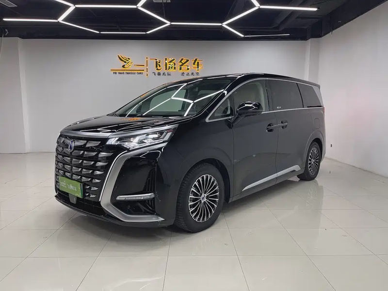Denza D9