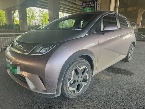 BYD Dolphin 2022
